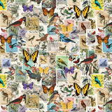Collection Collectionneur de Timbres-Collectionneur de Timbres-Multi-Coton-14250301-01