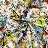Collection Collectionneur de Timbres-Collectionneur de Timbres-Multi-Coton-14250301-01