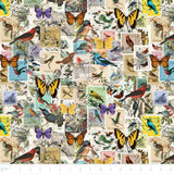 Collection Collectionneur de Timbres-Collectionneur de Timbres-Multi-Coton-14250301-01