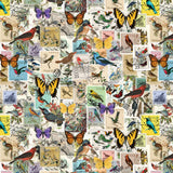 Collection Collectionneur de Timbres-Collectionneur de Timbres-Multi-Coton-14250301-01
