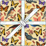 Stamp Collector Collection 10" Squares (42 pieces)14250304SQU