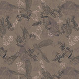 Collection Nid d'Aigle-Dessins d'Aigle-Taupe Foncé-Coton-14250402-01