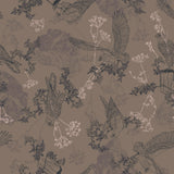 Collection Nid d'Aigle-Dessins d'Aigle-Taupe Foncé-Coton-14250402-01