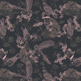 Collection Nid d'Aigle-Dessins d'Aigle-Noir-Coton-14250402-02