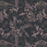 Collection Nid d'Aigle-Dessins d'Aigle-Noir-Coton-14250402-02