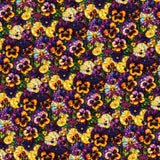 Gigi in the Garden Collection-Stained Glass Pansies-Multi-Quilting Fabrics-16240102-01