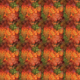 Collection Le Belvédère de l'Aigle-Texture Craquelée-Multi-100% Coton-16260104-01