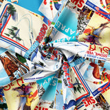 Apres Ski Collection-Vintage Ski Posters-19010301-01