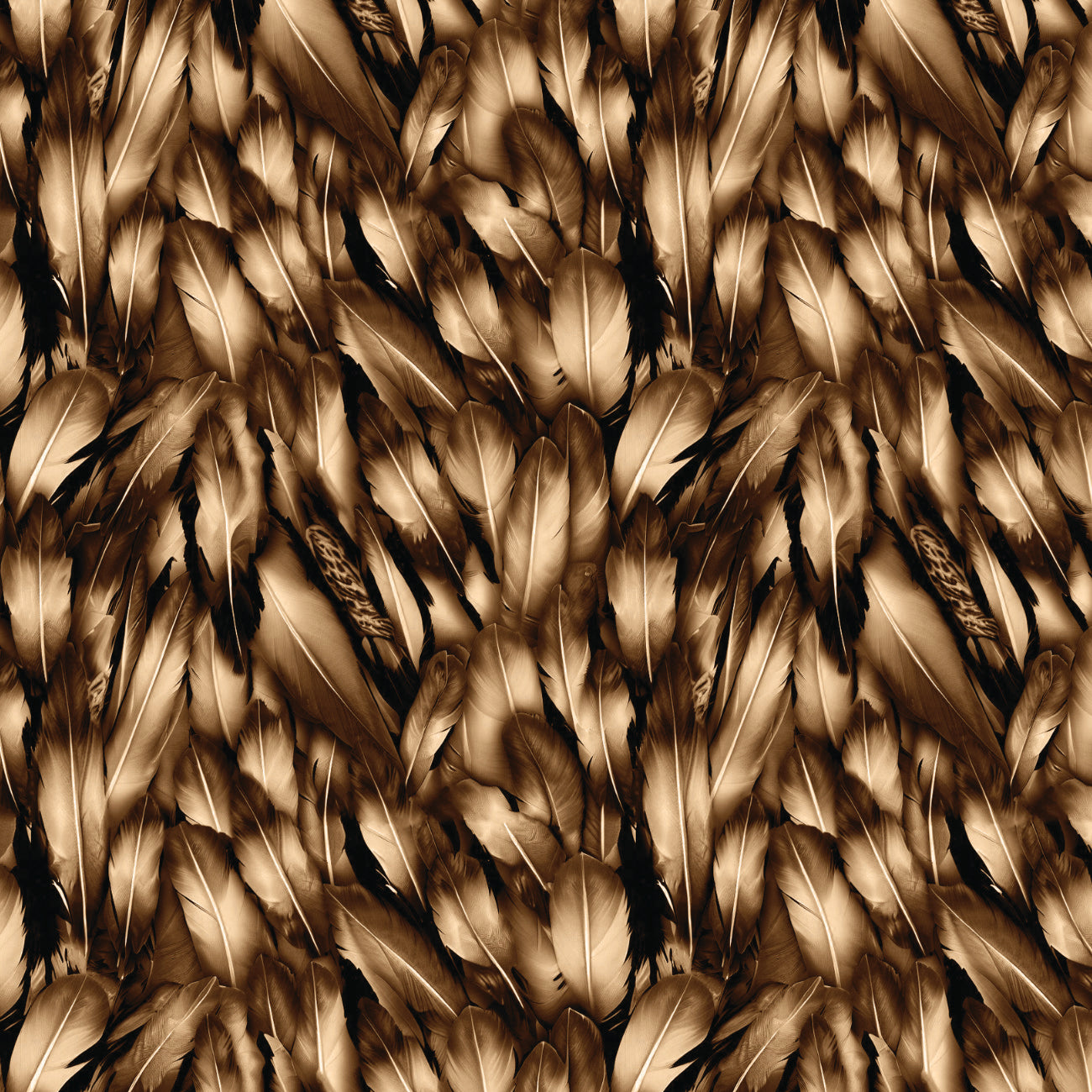 Strokes of the Wild Collection-Feathers-Brown-100% Cotton 21231201-02