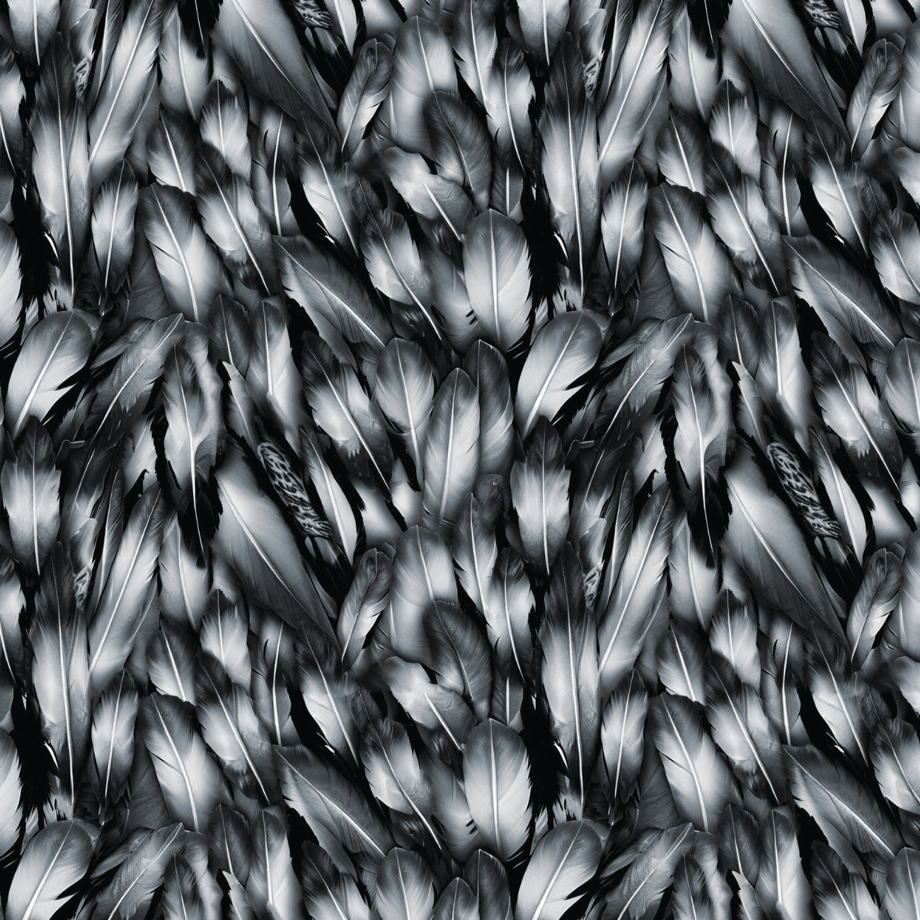 Strokes of the Wild Collection-Feathers-Grey-100% Cotton 21231201-03
