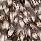 Eagle's Nest Collection-Feathers-Quilting Cotton- Dark Taupe -21231201-04