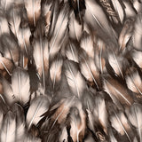 Eagle's Nest Collection-Feathers-Quilting Cotton- Dark Taupe -21231201-04