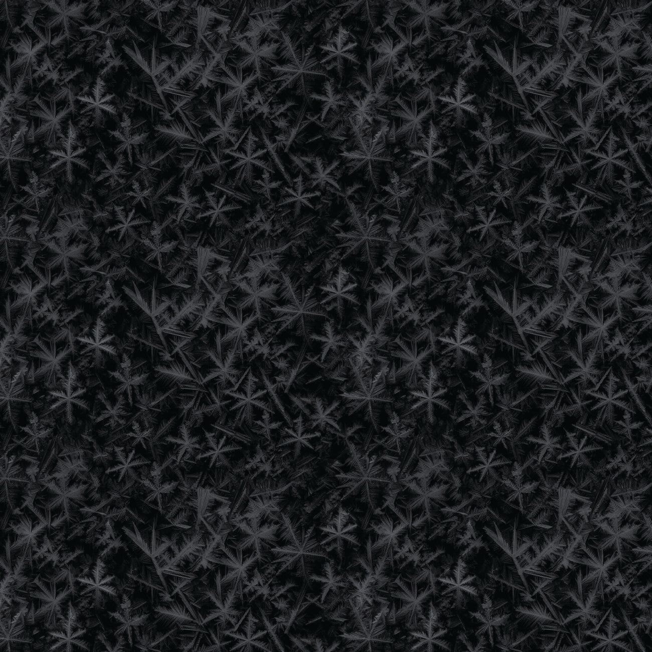 Strokes of the Wild Collection-Frost-Black-100% Cotton 21231202-02