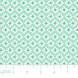 Collection Rodéo Rose- Géo Ouest -Aqua Pâle-100% Coton-21240306-02