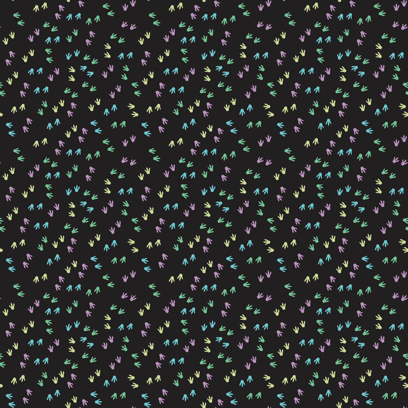 Collection Dinos Lumineux -Traces de Pas Dinos Lumineuses-21240703R-02-Noir