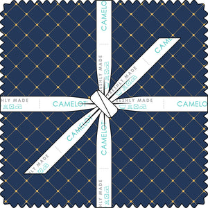 Collection Doré Précoupé Carrés 10" (42 pièces)-21240903SQU-Multi