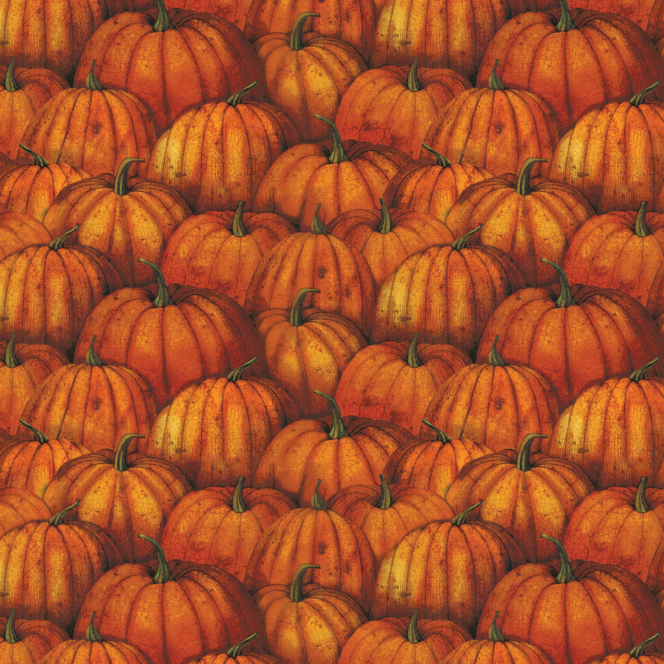 Wanderer of the Woods Collection-Pumpkin Patch-Multi-100% Cotton-21250301-01