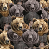 Collection Chalets de l'Ours Noir-Groupe d'Ours-Multi-21250501-01