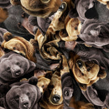 Collection Chalets de l'Ours Noir-Groupe d'Ours-Multi-21250501-01