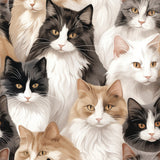 Paw & Whisker Collection-Not A-mew-sed-21250603-01