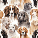 Paw & Whisker Collection-Man's Best Friend-21250604-01