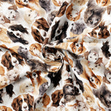 Paw & Whisker Collection-Man's Best Friend-21250604-01