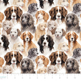 Paw & Whisker Collection-Man's Best Friend-21250604-01