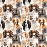 Paw & Whisker Collection-Man's Best Friend-21250604-01