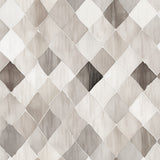 Paw & Whisker Collection-Basketweave Look-21250609-02