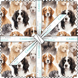 Paw & Whisker Collection 10" Squares (42 pieces)-21250610SQU