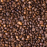 The Golden Roast Collection-Photoreal Coffee Beans-Quilting Cotton- Brown-21250901-01