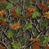 Cabin Creek Collection-Forest Foliage-Quilting Cotton-21251004-01