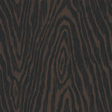 Collection Nid d'Aigle-Grain de Bois-Brun-Coton-21251102-01
