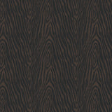 Collection Nid d'Aigle-Grain de Bois-Brun-Coton-21251102-01