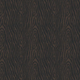 Collection Nid d'Aigle-Grain de Bois-Brun-Coton-21251102-01