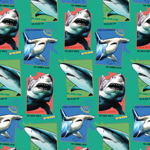 Shark Week Collection-Wave Catcher-Green-100% Cotton-23560102-01