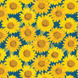 Sunny Days Ahead Collection-Sunflowers-100% Cotton-Navy