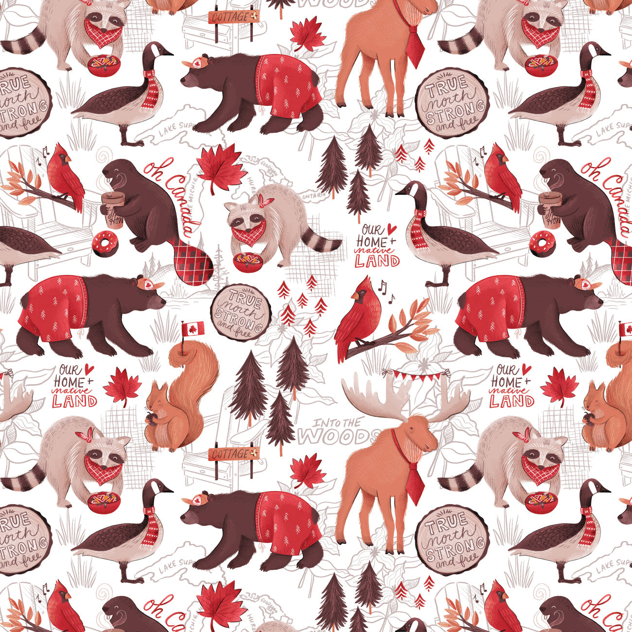 Oh Canada Collection-The True North-White-100% Cotton-36250101-01