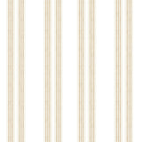 Secret Garden Collection-Stripes-Beige-100% Cotton-49240506-01