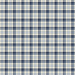 Pumpkin Patch Keeper Collection-Autumnal Plaid-Navy-100% Cotton-49250106-01