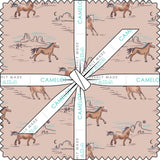 Run Free Collection 10" Squares (42 pieces)-50250306SQU