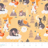 Fleece and Flannel 2026 Catalog-Desert Baby-Cotton Flannel-50250401B-01