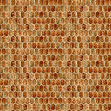 Coastal Waterways Collection-Tortoise Shell-Amber-100% Cotton 55230605-02