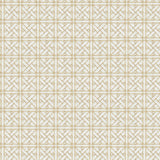 Bloom Tapestry Collection-Canopy Trellis-Cream-100% Cotton 55230805-01