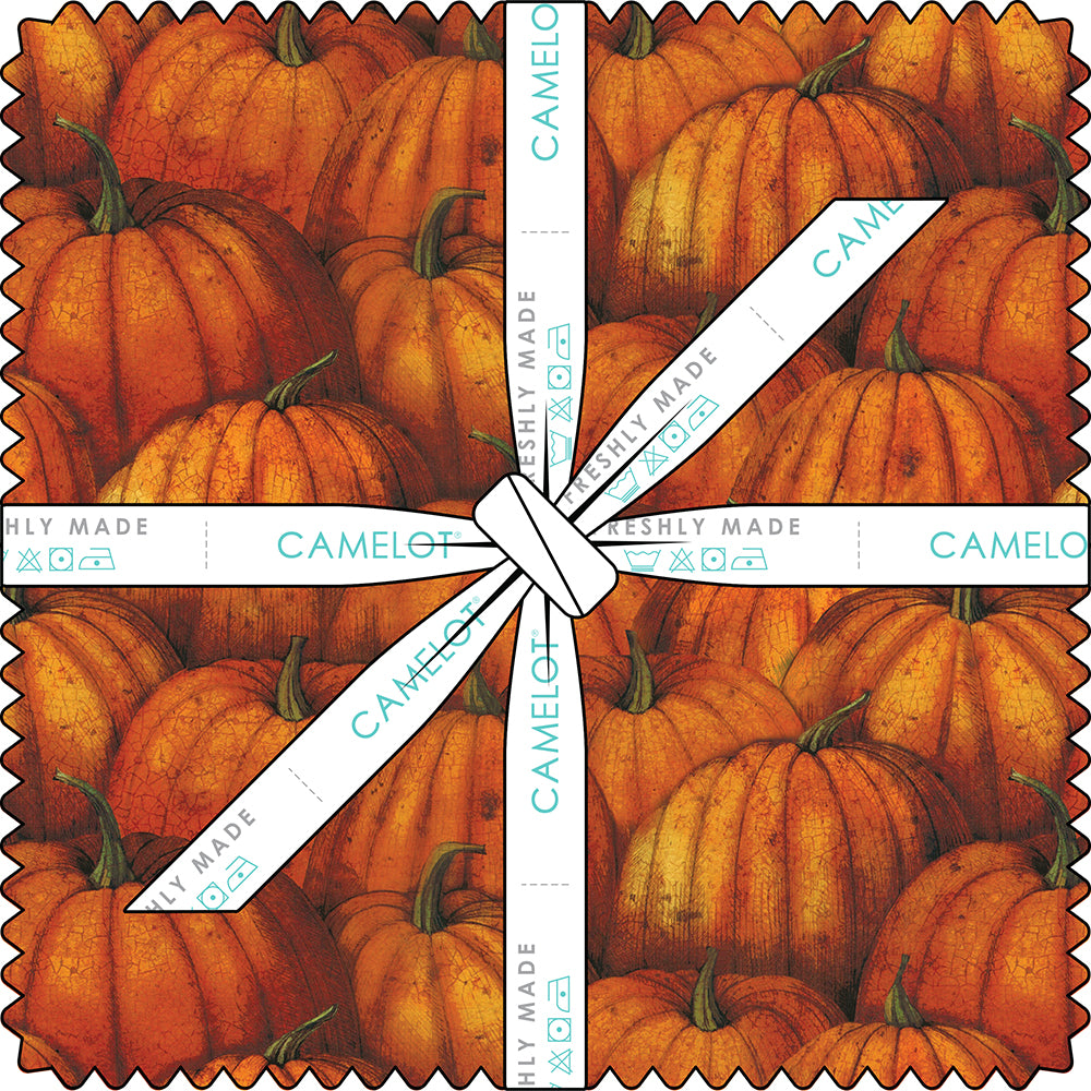 Wanderer of the Woods Collection 10" Squares (42 pieces)-Multi-100% Cotton-55240306SQU