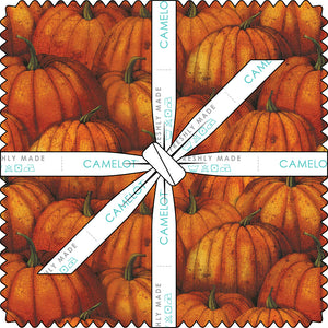 Wanderer of the Woods Collection 10" Squares (42 pieces)-Multi-100% Cotton-55240306SQU