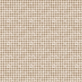 Sagebrush Babies Collection-Distressed Gingham-55250205-02