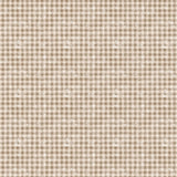 Sagebrush Babies Collection-Distressed Gingham-55250205-02
