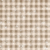 Sagebrush Babies Collection-Distressed Gingham-55250205-02