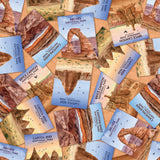National Parks Collection-Desert Sculptures National Parks-Quilting Cotton-Orange-55250302-01